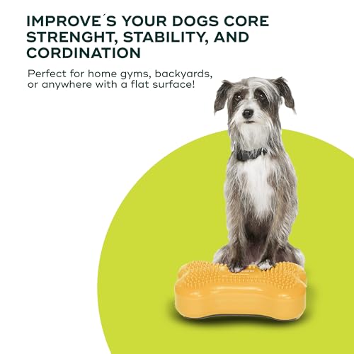 Mini K9fitbone Balance Training Platform (Set of 2) - color: Mango