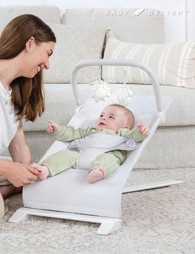 Baby Delight Alpine Deluxe Portable Bouncer | Infant | 0 – 6 Months | Driftwood Grey - color: Driftwood Grey
