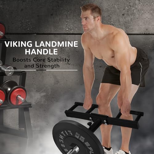 Fitvids Upgraded Adjustable Jammer Arms, Lever Arms, Monolift Attachments Rated 600 LB Per Arm, Fits Racks at All Post Sizes and Hole Sizes, Pair - style: B-shape