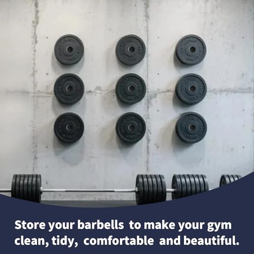 Wall Mounted Olympic Weight Plate Rack, Heavy Duty Metal 2" Plate Holder & Hanger for Home Gym, Garage Gym, Powerlifting & Fitness Equipment Storage, 275 lbs Capacity Barbell Plate Organizer with Screws for Wood & Concrete Walls - color: Silver-4pack