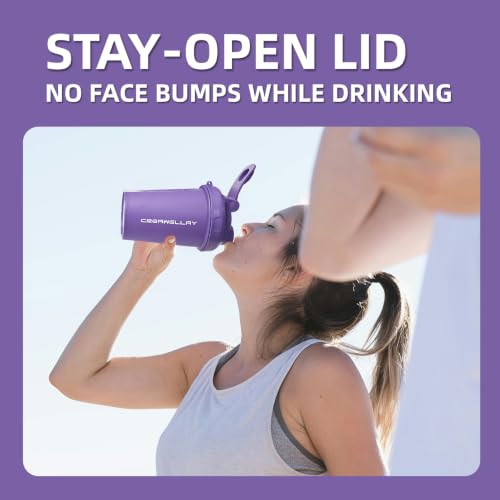 2 Pack Shaker Bottles for Protein Mixes, 17 oz Small Protein Shaker Bottle with Handle, Gym Shaker Cups with Blending Ball for Pre Workout, BPA-Free & Dishwasher Safe (Pink, Purple) - color: Pink,Purple