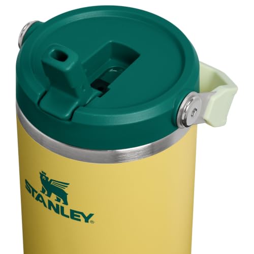 STANLEY IceFlow 2.0 Flip Straw Tumbler with Handle 30 oz | Twist On Lid and Flip Up Straw | Leak Resistant Water Bottle | Insulated Stainless Steel | BPA-Free | Daffodil Emerald - color: Daffodil Emerald, size: 30 Ounces