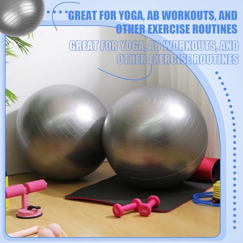 Leyndo 4 Pcs 26 Inch Yoga Exercise Ball Pilates Pregnancy Birthing Fitness Ball with Quick Pump Anti Burst for Improved Posture, Balance, Yoga, Pilates, Training - color: Gray