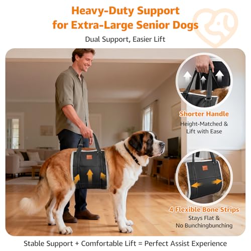 LOOBANI Dog Sling for Large Dogs Hind Leg Support, Portable Dog Lift Harness for Back Legs, Comfortable Leg Support Assistance for Elderly Dogs with Hip, ACL Brace, Senior, Injured - color: Black, size: XX-Large