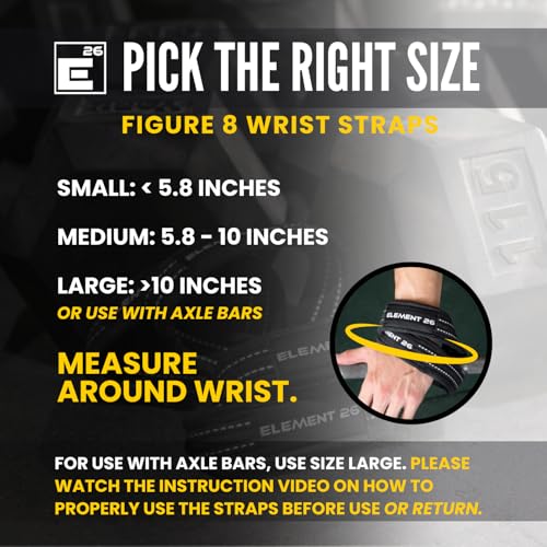 Element 26 Padded Figure 8 Lifting Straps for Deadlifts | Weightlifting Straps for Deadlifts, Farmers Carry Walks, Barbell Rows, Premium quality 100% cotton - size: Small