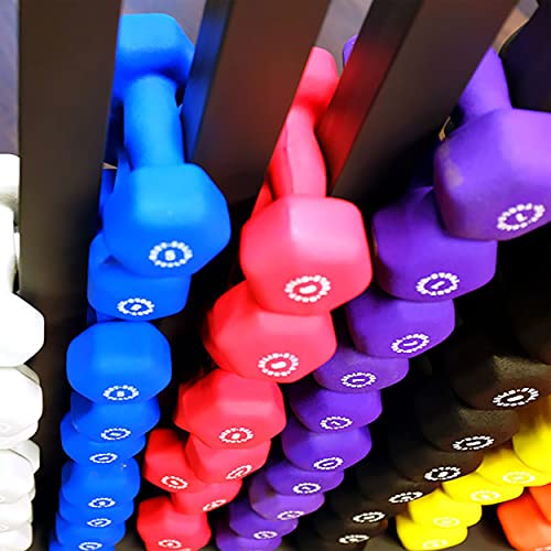 Body-Solid Tools Neoprene Dumbbell for Weight and Aerobic Strength Training, Pilates & Physical Therapy, Hand Weights for Men and Women, Commercial and Home Gym Free Weights Hex End Dumbbells - color: 7lbs.Purple
