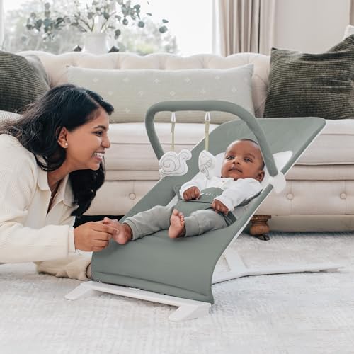 Baby Delight Alpine Deluxe Portable Baby Bouncer | Infant | 0-6 Months | 100% GOTS Certified Organic Cotton Fabric | Organic Sage - color: Organic Sage