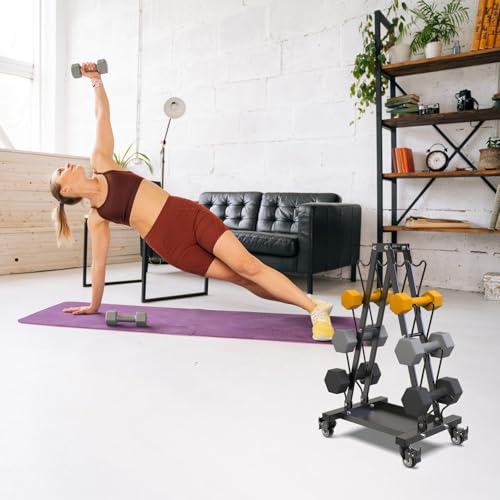 Kipika Heavy Duty Dumbbell Rack Multifunctional, Weight Rack for Dumbbells, Home Gym Equipment, Suitable for Storage of Dumbbell, Kettle Bell, Barbell Plate, Barbell Bar (4 Tier Tilt Shelf)