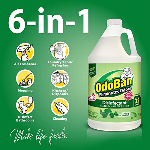 OdoBan Disinfectant Concentrate and Odor Eliminator, Made in the USA, Original Eucalyptus Scent, 2 Gallons - size: 128 Fl Oz (Pack of 2)