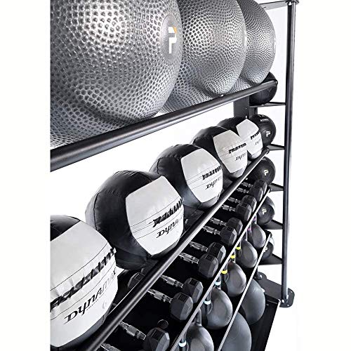 Dynamax Medicine Ball, Stinger II, 6 Pounds, Black/Gray (24006)
