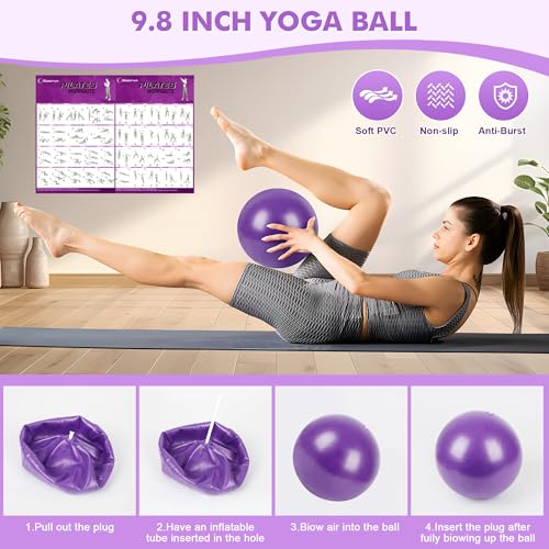Goocrun Pilates Ring Set Exercise Equipment, with Exercise Resistance Bands Set, Pilates Ball, Sliding Disks. Portable Home Gym - with Fitness Guide Poster - color: Purple, size: Basic-level