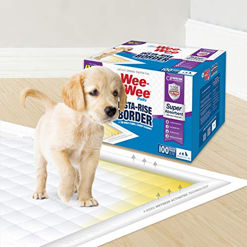 Four Paws Wee-Wee Super Absorbent Unscented Pee Pads for Dogs & Puppies with Insta-Rise Border, Leak-Proof Dog Housebreaking Potty Training Floor Protection, 22" x 23", 100 Count - size: 100 Count