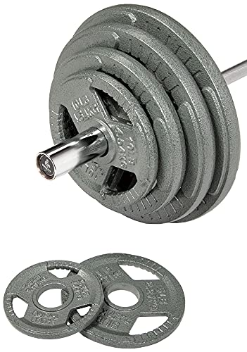 Signature Fitness Olympic 2-Inch Cast Iron Plate Weight Plate for Strength Training and Weightlifting, Multiple Sizes - color: 25LB Pair, style: Style #5