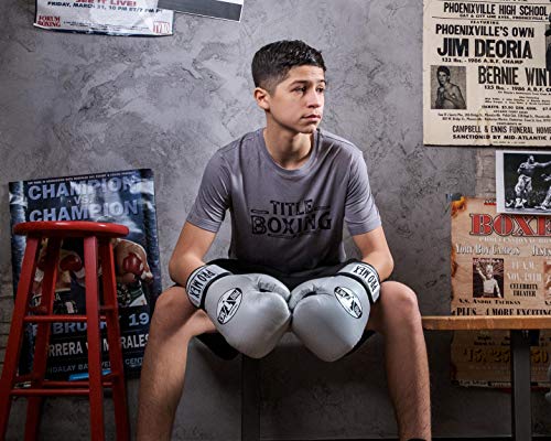 Pro Mex Professional Training Gloves V 3.0 - color: Silver, size: 12 oz