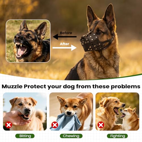 Pit Bull Dog Muzzle – Heavy Duty PVC Adjustable Anti-Biting Chewing Mouth Guard for Medium & Large Dogs,Rottweiler, Staffordshire Terrier, Lab. Grooming, Walking, Outdoor to Prevent Scavenging - size: L