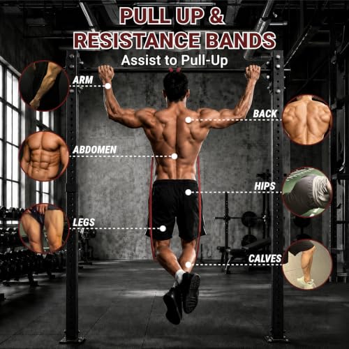 Resistance Bands for Working Out, Pull Up Assistance Bands for Men & Women, Exercise Bands for Full-Body Training, Physical Therapy, Fitness, Stretch Workout Bands at Home, Gym