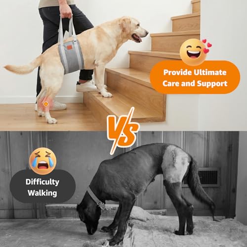 LOOBANI Dog Sling for Large Dogs Hind Leg Support, Portable Dog Lift Harness for Back Legs, Comfortable Leg Support Assistance for Elderly Dogs with Hip, ACL Brace, Senior, Injured - color: Grey&Grey, size: X-Large