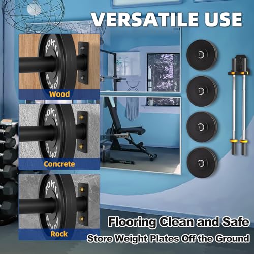 Wall Mounted Weight Plate Holder, Weight Rack Storage for 2" Olympic Weight Plate, Max Weight Capacity 330 lb, Best with Black Powder Coated for Garage Home Gym Strength Training (2 pcs)