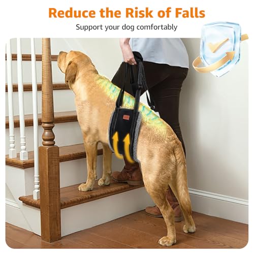 LOOBANI Dog Sling for Large Dogs Hind Leg Support, Portable Dog Lift Harness for Back Legs, Comfortable Leg Support Assistance for Elderly Dogs with Hip, ACL Brace, Senior, Injured - color: Grey&Black, size: X-Large