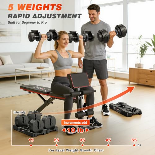 GIKPAL Adjustable Weight Bench - Workout Bench Press for Home Gym, Foldable Incline Decline Sit up Exercise Bench for Full Body Strength Training w/Leg Extension and Preacher Pad - color: Black 5-Gear 55LB Pair