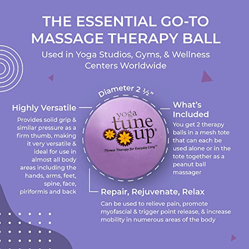 YOGA TUNE UP® Therapy Balls in Tote by Tune Up Fitness - Massage Balls for Trigger Point, Pressure Point & Myofascial Release - Use as Single or Peanut Ball for Pain Relief & Relaxation (Deep Purple) - color: ['Deep Purple'], size: ['2.5 Inch (Pack of 1)'