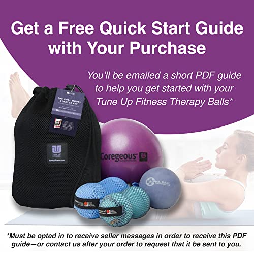 YOGA TUNE UP® Therapy Balls in Tote by Tune Up Fitness - Massage Balls for Trigger Point, Pressure Point & Myofascial Release - Use as Single or Peanut Ball for Pain Relief & Relaxation (Deep Purple) - color: ['Deep Purple'], size: ['2.5 Inch (Pack of 1)'