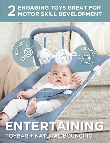 Baby Delight Alpine Deluxe Portable Baby Bouncer | Infant | 0-6 Months | 100% GOTS Certified Organic Cotton Fabric | Organic Dusty Blue - color: Organic Dusty Blue