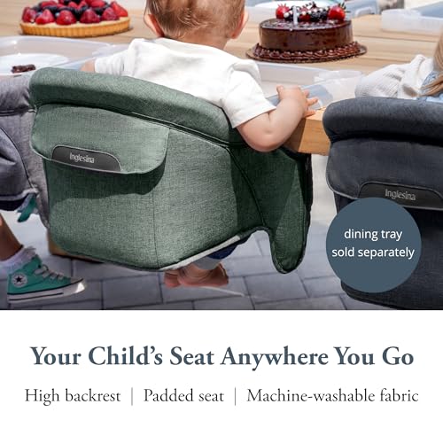 Inglesina Fast Table Chair, Pine Green Melange - Portable Baby High Chair - for Babies & Toddlers up to 37 lbs - Fits Tables 0.8'' to 3.5'' Thick - Compact & Easy to Use - Travel Bag Included - color: Pine Green Melange, style: Chair