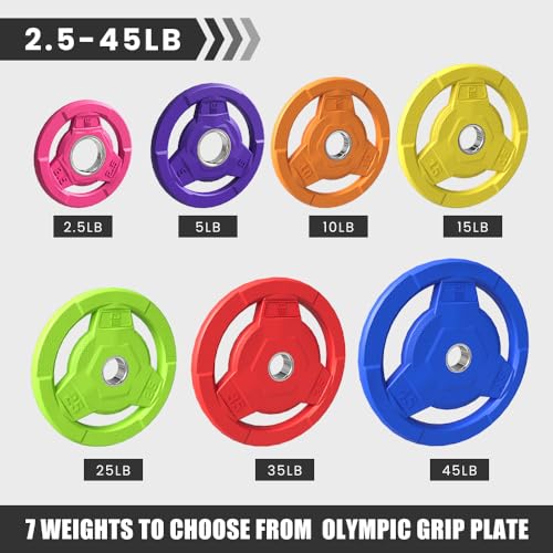 Color Coded 2-Inch Rubber Coated Olympic Grip Plate for Barbell,Solid Cast Iron Weight Plates for Strength Training, Weightlifting, Home Gym, 2.5/5/10/15/25/35/45 LB, Single and Pair - color: 45LB-SET