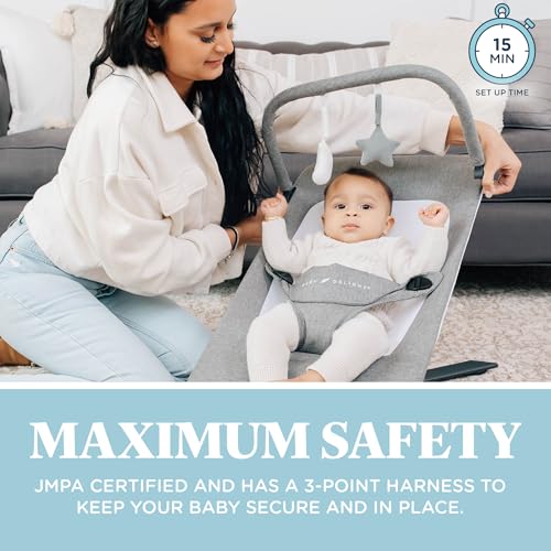Baby Delight Alpine Deluxe Portable Bouncer | Infant | 0 – 6 months | Charcoal Tweed - color: Charcoal Tweed