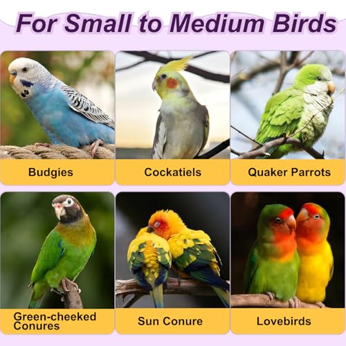 3-Ring Bird Wooden Swing with Bell Climbing Toy Chewable Cotton Rope Perch for Cage Cockatiels Budgies Parakeets Lovebirds 17 Inch
