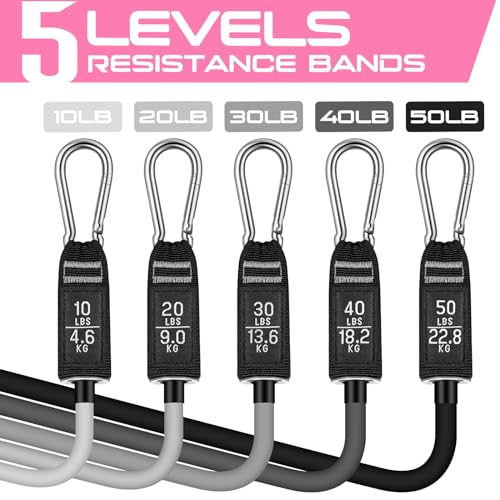 RENRANRING Resistance Bands for Working Out, 150LBS Exercise Bands, Workout Bands, Resistance Bands Set with Handles for Men Women, Legs Ankle Straps - color: Grey Set, size: 51.0 inch