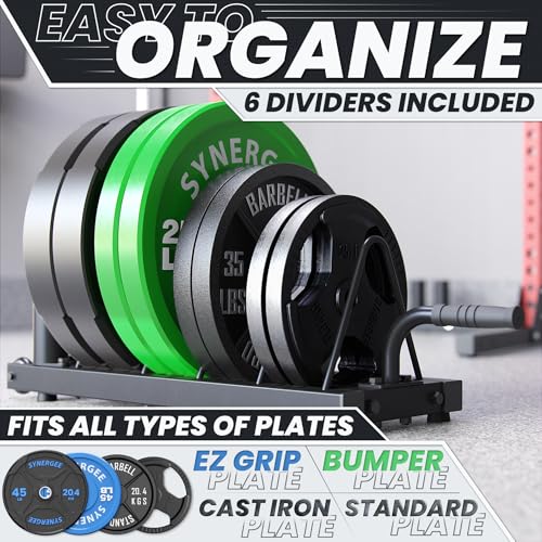 Synergee Horizontal Plate Rack – 350 lb Capacity with Bar Holders