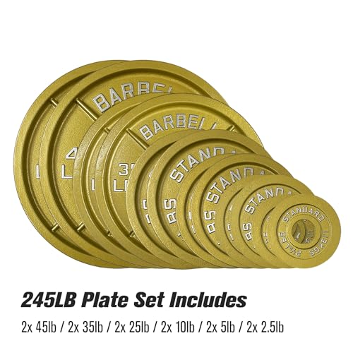 Gold Finish Olympic Steel Plates - Pairs and Sets 2 Inch Barbell Standard in Premium Gold for Weight Lifting - color: 245lb Set
