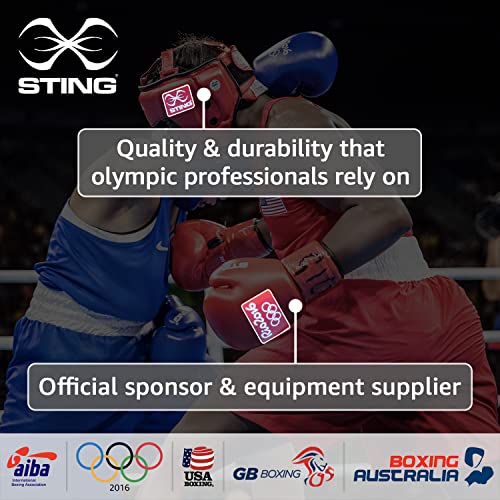 STING Armalite Boxing Gloves, Durable Boxing Equipment for Boxing Training, Balanced Weight Distribution | SLV3 Outer Skin, SAS Layering, Hi Flow Core Padding, Comfortline 3D Liner - color: Black/Silver, size: 14 Oz