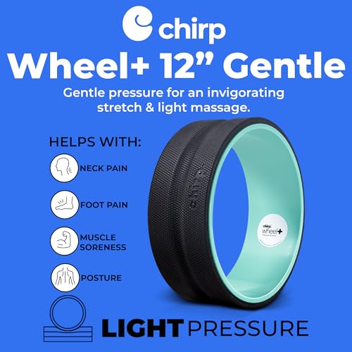 Chirp Wheel+ Foam Roller, Back & Neck Pain Relief, Mint 12-Inch - size: 12" - Gentle