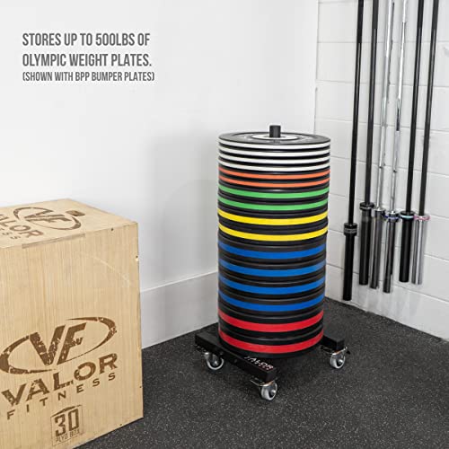 Valor Fitness Bumper Plate Storage Rack, Olympic Weight Plate Tree with Locking Wheels, 500 lb Capacity, 2 Inch Plate Holder for Home Gym, Garage Gym, and Commercial Fitness Use