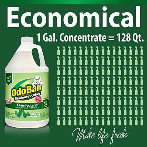 OdoBan Disinfectant Concentrate and Odor Eliminator, 4 Gallons, Original Eucalyptus Scent - size: 128 Fl Oz (Pack of 4)