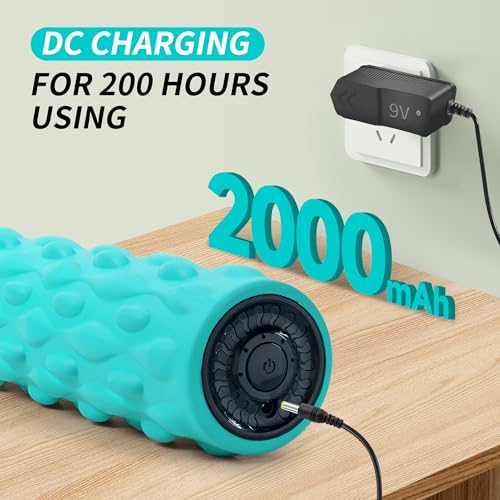 Vibrating Foam Roller,Electric Deep Tissue Massage Roller for Muscle Recovery & Back Pain Relief,4-Speed High Intensity Trigger Point Foam Roller with Carry Bag,Rechargeable Yoga Fitness Roller Blue - color: Blue