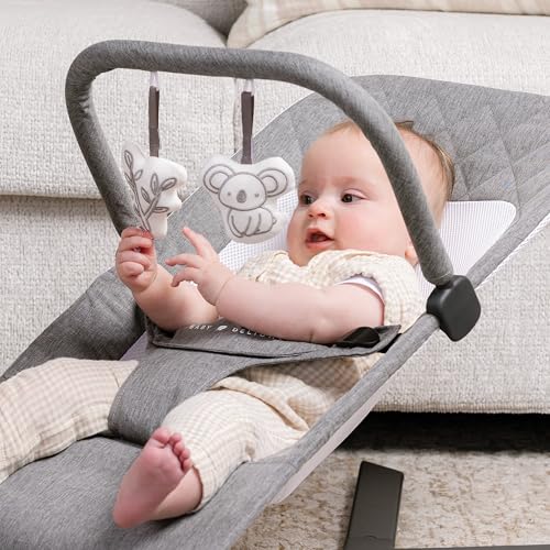 Baby Delight Alpine Deluxe Portable Bouncer | Infant | 0 – 6 months | Charcoal Tweed - color: Charcoal Tweed
