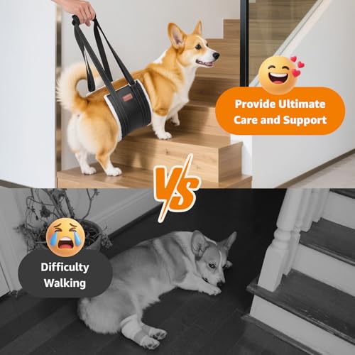 LOOBANI Portable Dog Sling for Back Legs, Hip Support Harness to Help Lift Dogs Rear for Canine Aid and Old K9 Cruciate Ligament Rehabilitation - color: Black, size: Medium