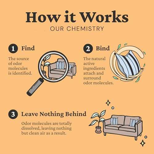 Fresh Wave Orange Odor Eliminating & Deodorizing Packs - Bag of 6 & Fresh Pod Case