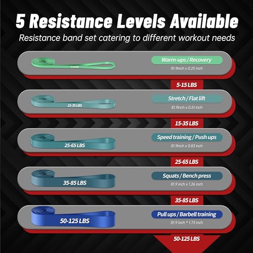 Pull Up Assistance Bands, 5-Level Resistance Bands for Working Out, Pull Up Bands for Men & Women, Exercise Bands for Full-Body Training, Fitness, Physical Therapy, Stretch Workout Bands at Home, Gym - color: Blue Gradient