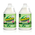 OdoBan Disinfectant Concentrate and Odor Eliminator, Made in the USA, Original Eucalyptus Scent, 2 Gallons - size: 128 Fl Oz (Pack of 2)