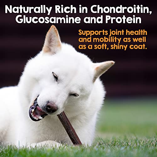 Riley's 12" Beef Collagen Sticks for Dogs - 100% Natural Beef - 10ct | Digestible Collagen Chews for Dogs - Single Ingredient, No Hide Chews - Grain-free and Gluten-free Pet Treat