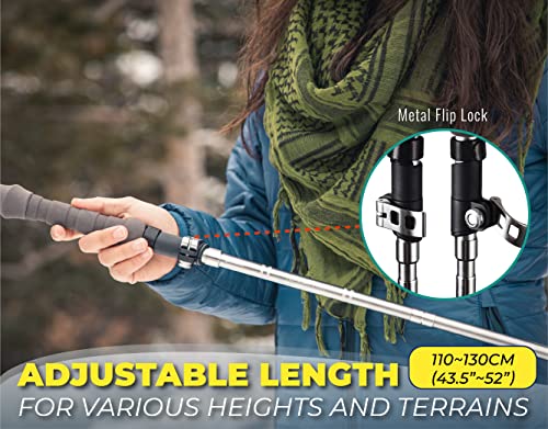 TREKOLOGY Trek-Z Cork Grip Trekking Poles – Lightweight Folding Hiking Poles, Adjustable Height, Compact Travel Design, Aircraft-Grade Aluminum Walking Sticks for Men & Women - color: Gray