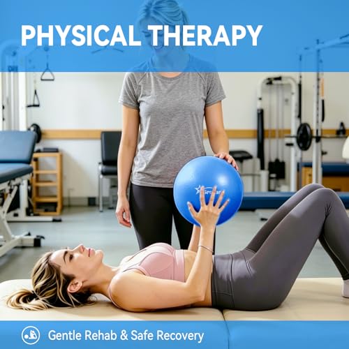 9 Inch Pilates Ball - Small Exercise Ball for Yoga, Barre & Physical Therapy - Anti-Burst Non-Slip Mini Core Ball for Stability, Back Pain Relief & Posture Correction - color: 1Purple&1Pink