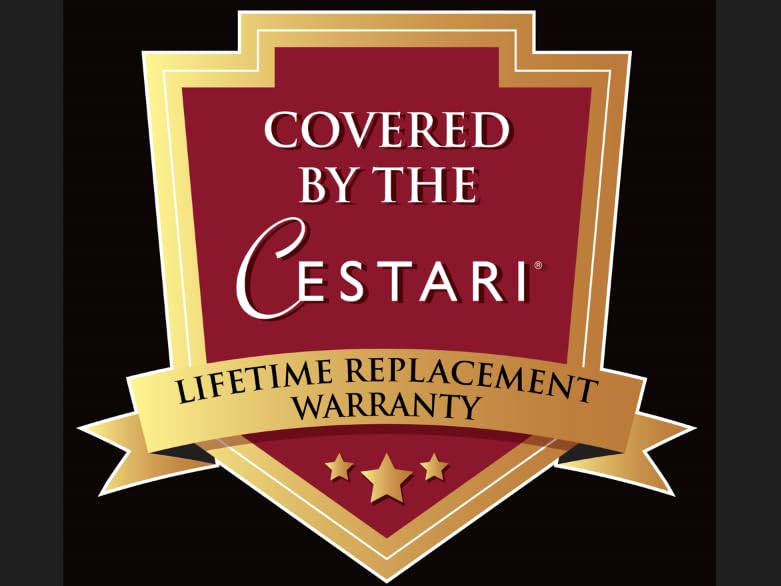 Cestari Glass Salad Dressing Bottle: Premium Borosilicate Salad Dressing Shaker with Mixer Insert | Leak Proof Salad Dressing Blender and Dispenser with Measurements and Recipes • Reusable Vinaigrette Cruet - color: Black