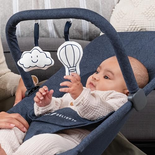 Baby Delight Alpine Deluxe Portable Bouncer, Infant, 0 – 6 Months, Quilted Indigo - color: Quilted Indigo