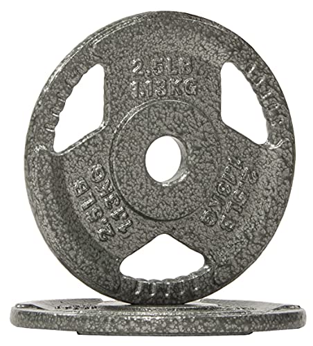 Fitvids 2-Inch Olympic and 1-Inch Standard Cast Iron Weight Plate for Strength Training & Weightlifting, Multiple Weights Available - color: Standard (1-Inch Center), style: 2.5LB (Pair)